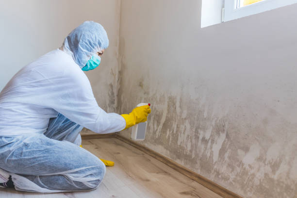 Licensed Mold Testing service in New Providence, NJ - WQB Mold Removal