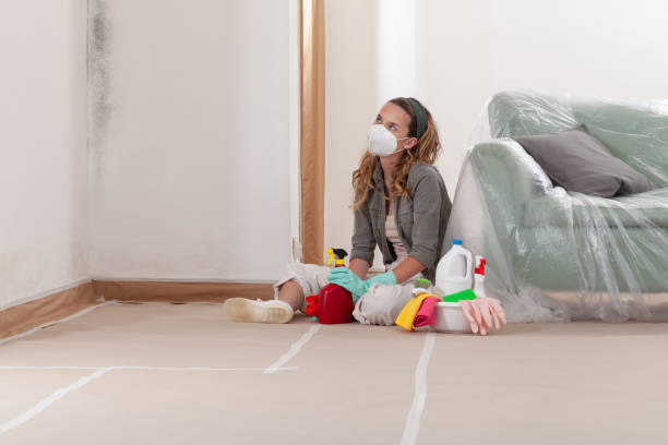 Reliable Mold Testing contractor in New Providence, NJ by WQB Mold Removal